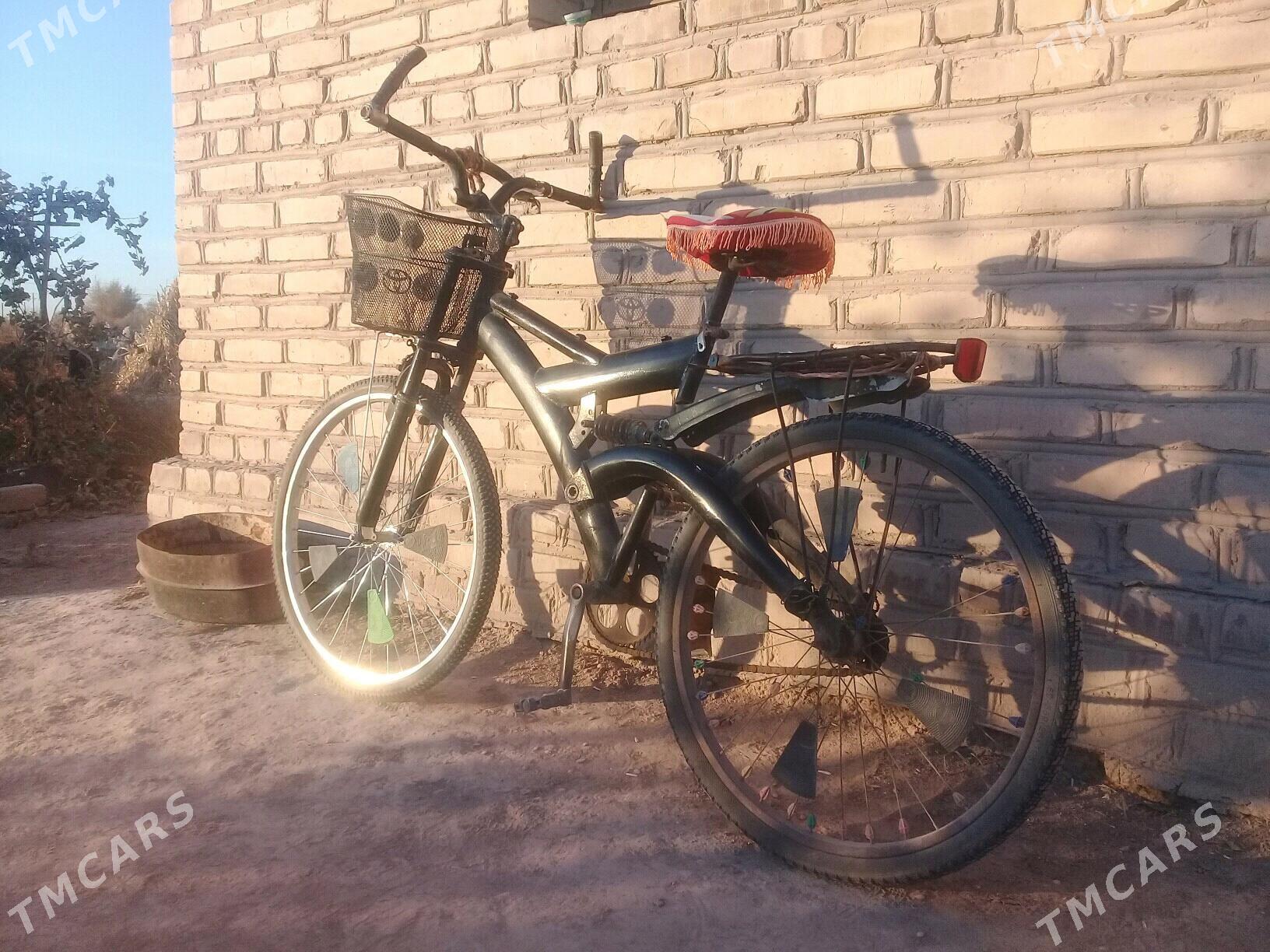 tigir - Görogly (Tagta) - img 2