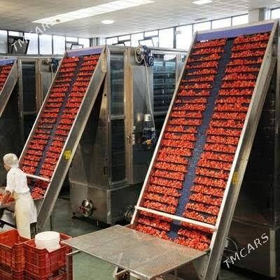 Miweler, kakadyjy сушильный ап - Aşgabat - img 4