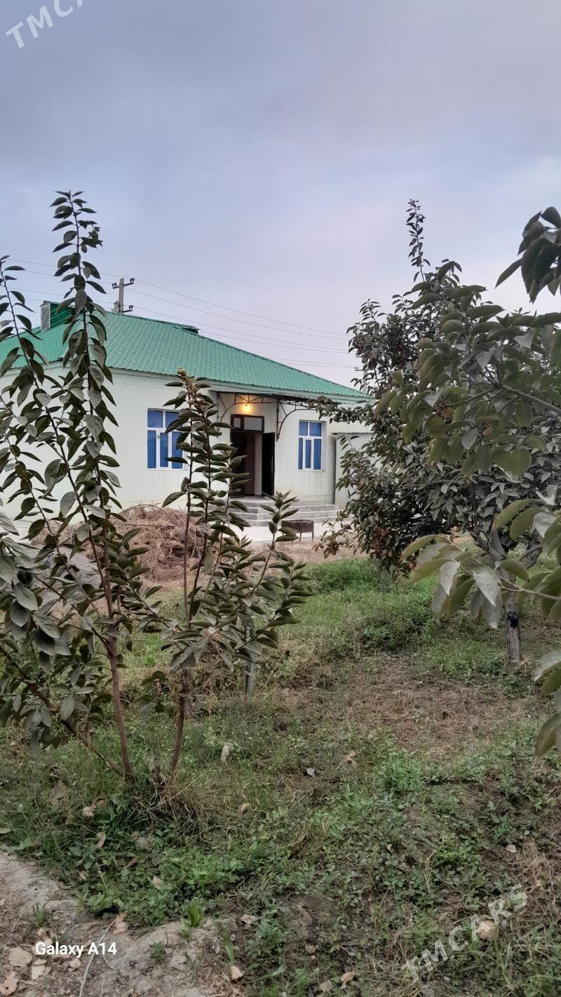 Jay - Гёкдепе - img 2