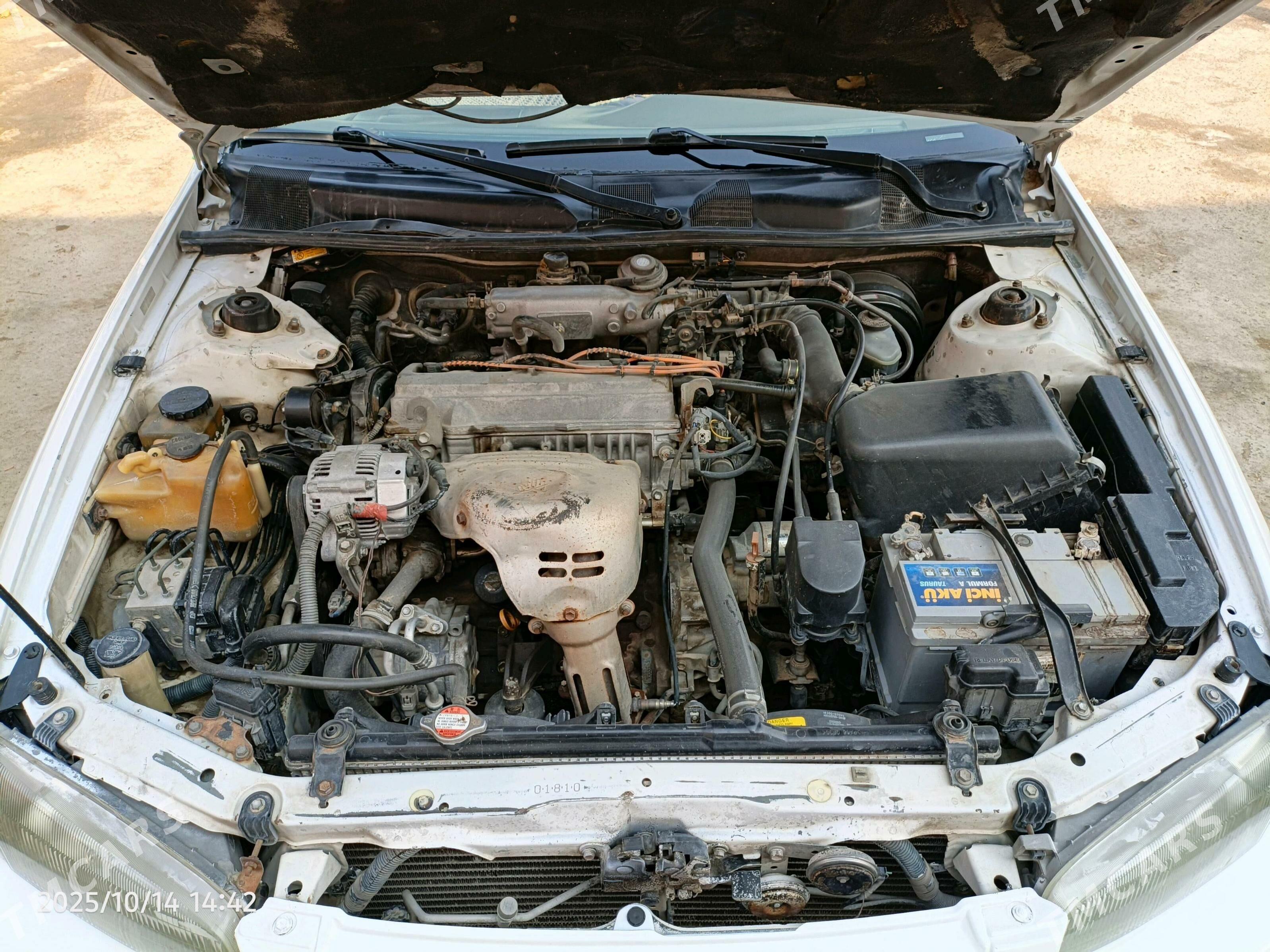 Toyota Camry 1999 - 140 000 TMT - Туркменгала - img 4