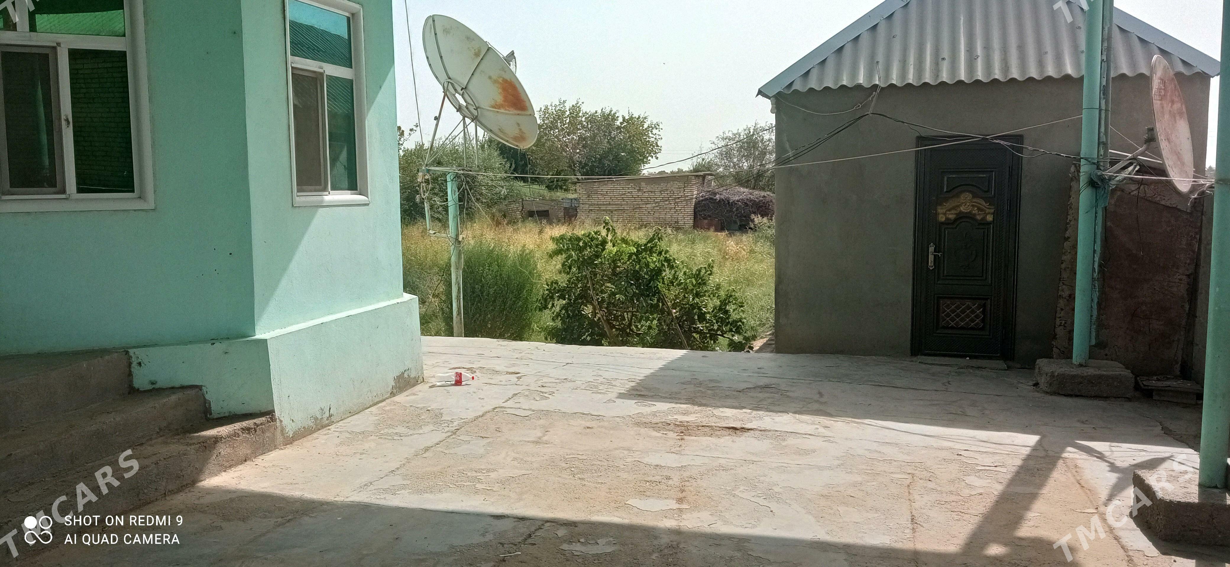 murgap jay - Murgap - img 2