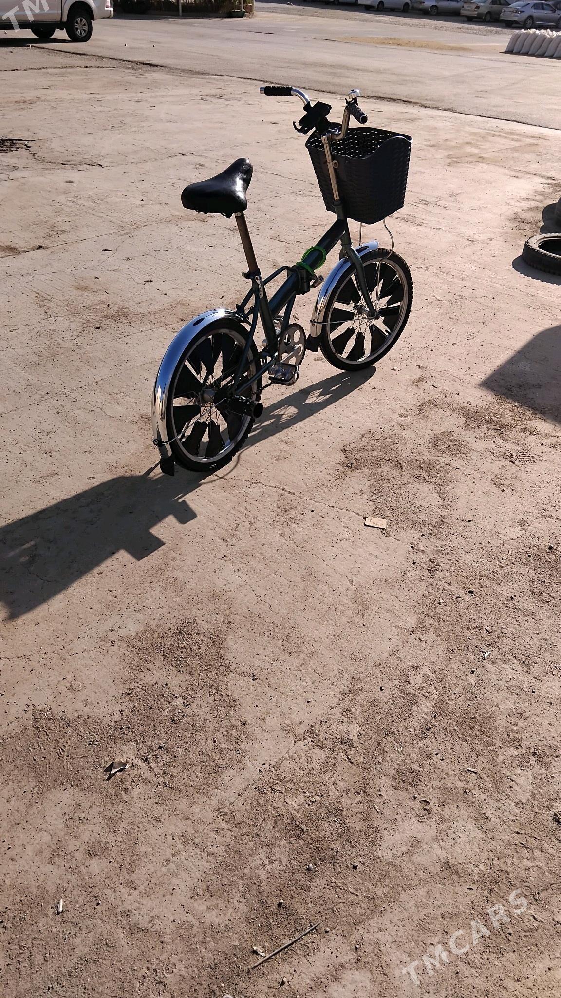 kama tigir - Tejen - img 2