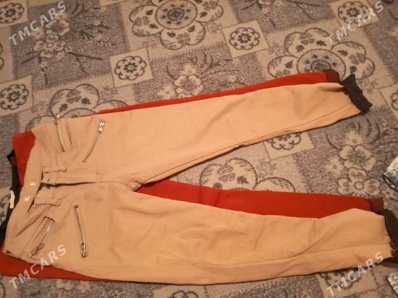 balak - Daşoguz - img 3