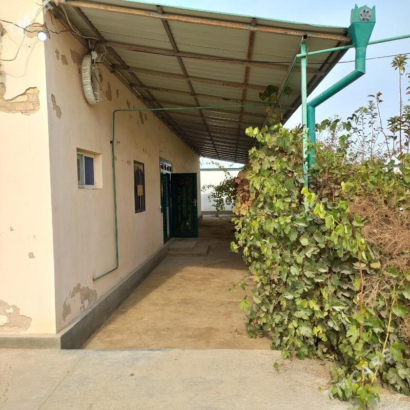 iki komnat howly jay - Görogly (Tagta) - img 10