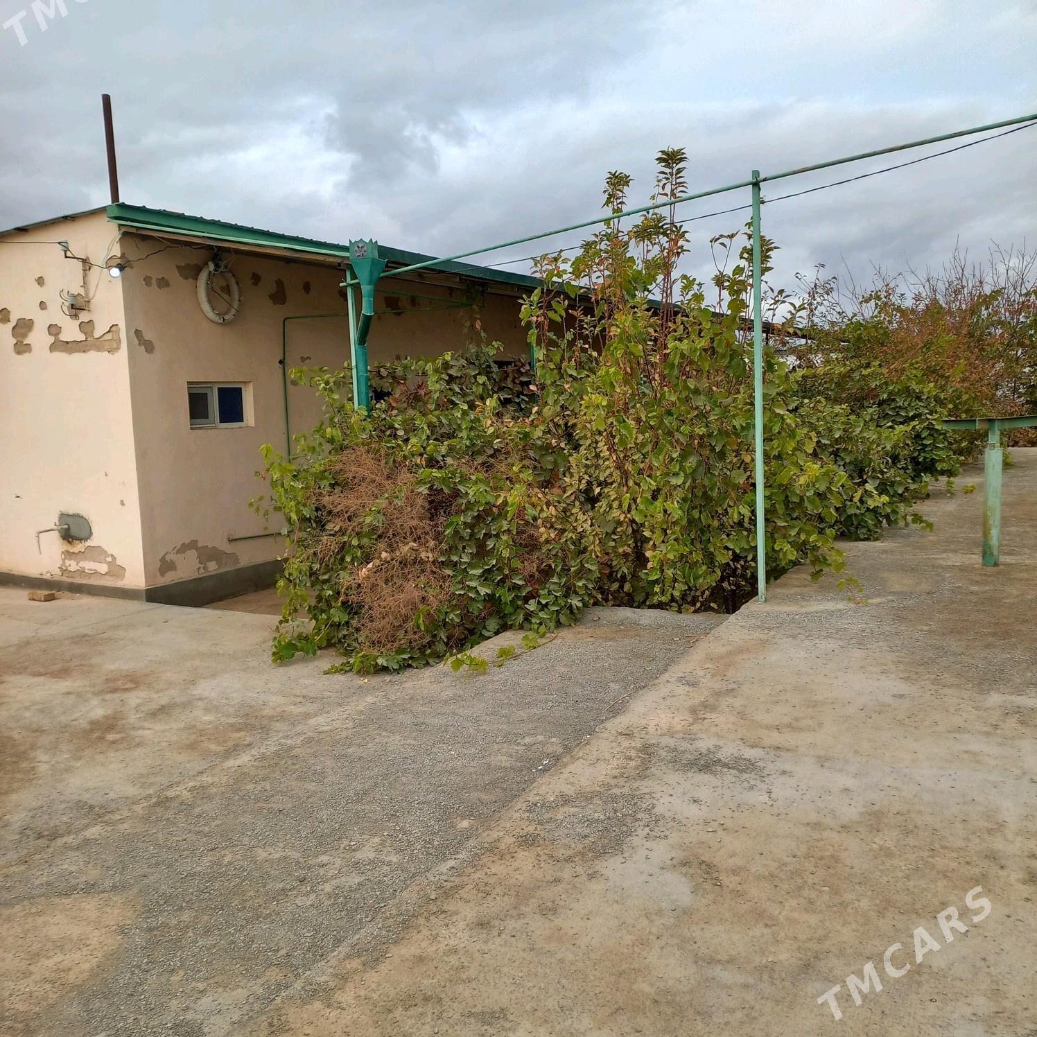 iki komnat howly jay - Görogly (Tagta) - img 2