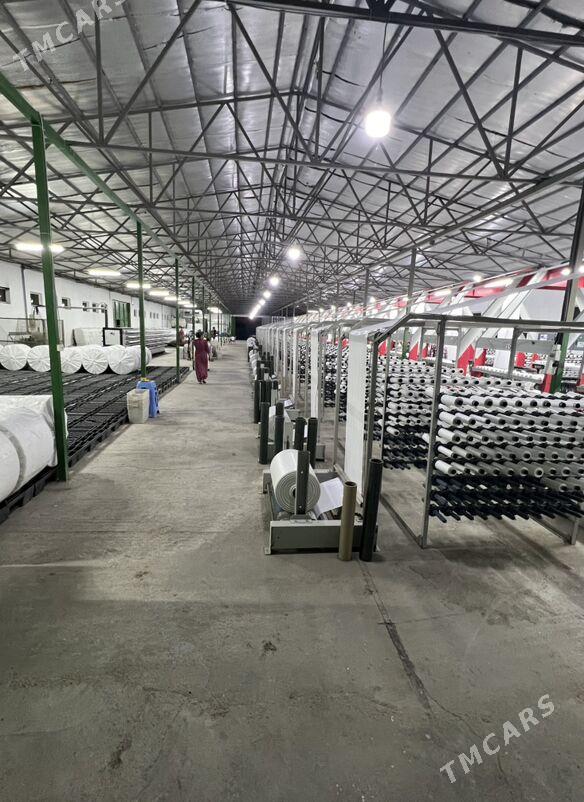 işgar alyas - Änew - img 2