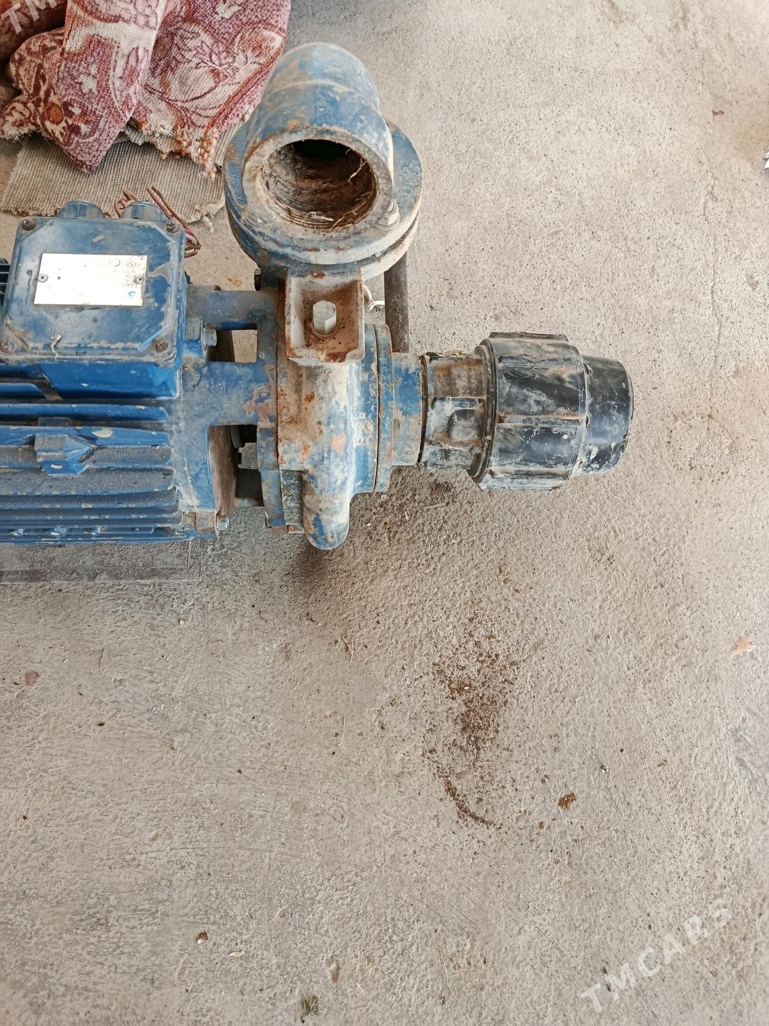 mator täze - Kaka - img 3