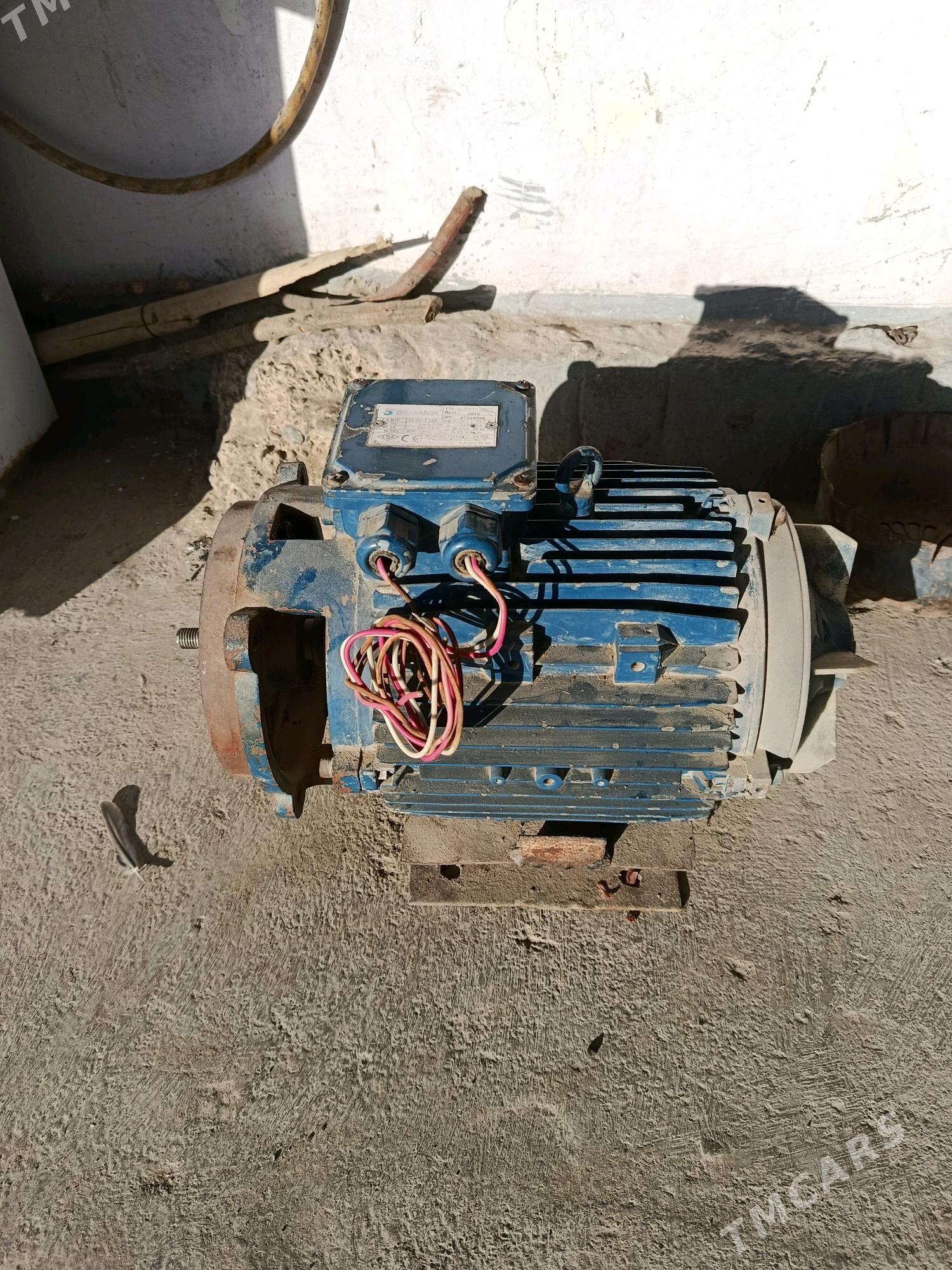 mator täze - Kaka - img 2