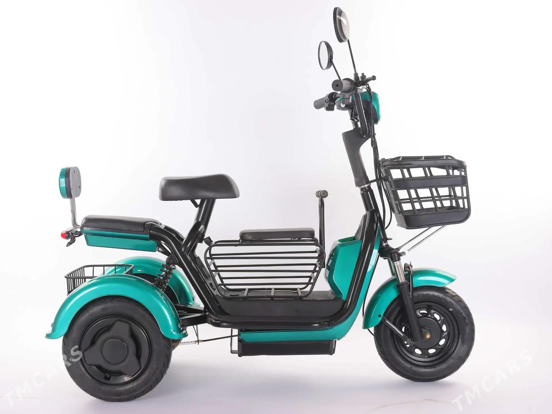 Tokly tigir - Aşgabat - img 3