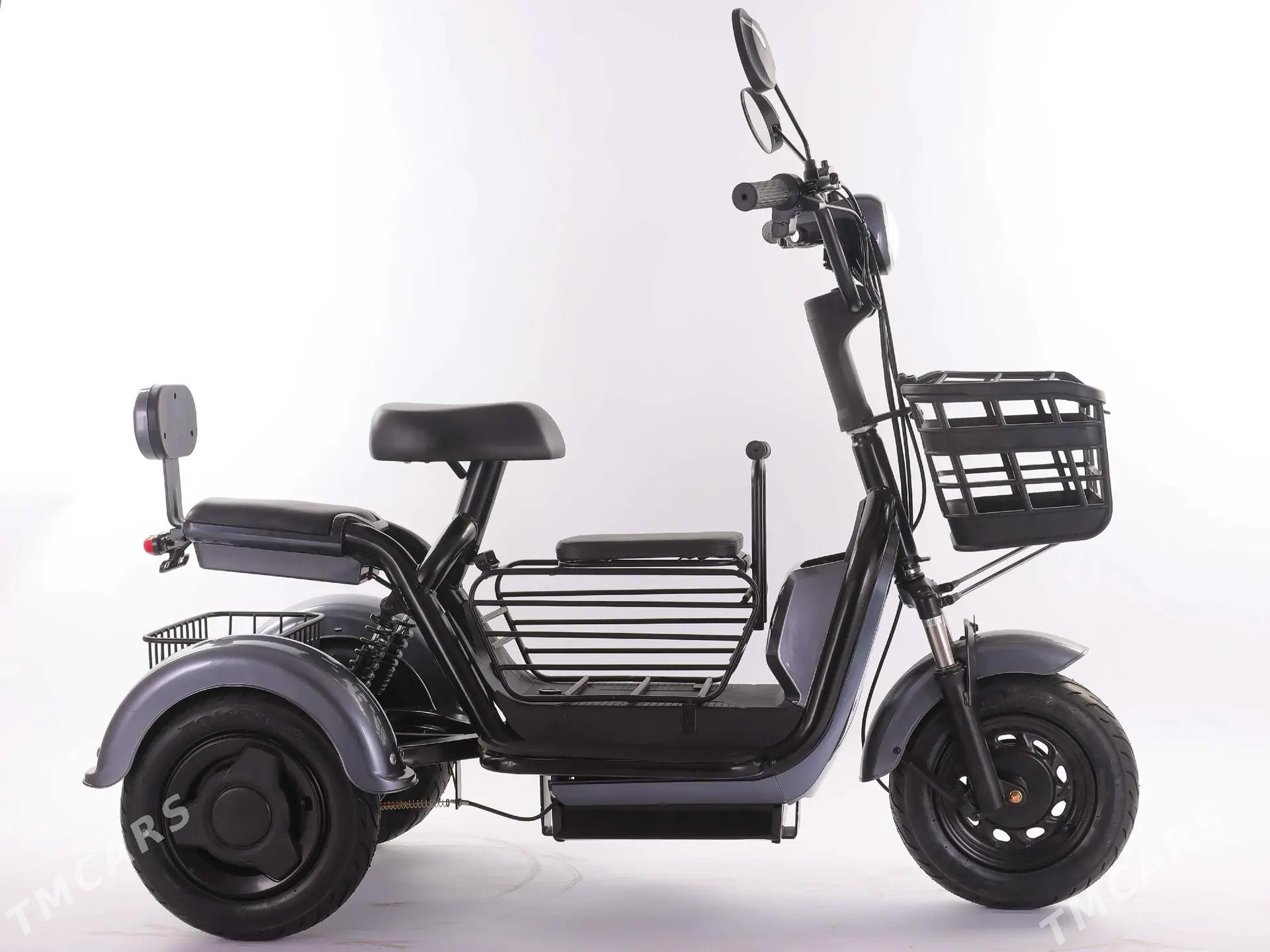 Tokly tigir - Aşgabat - img 2