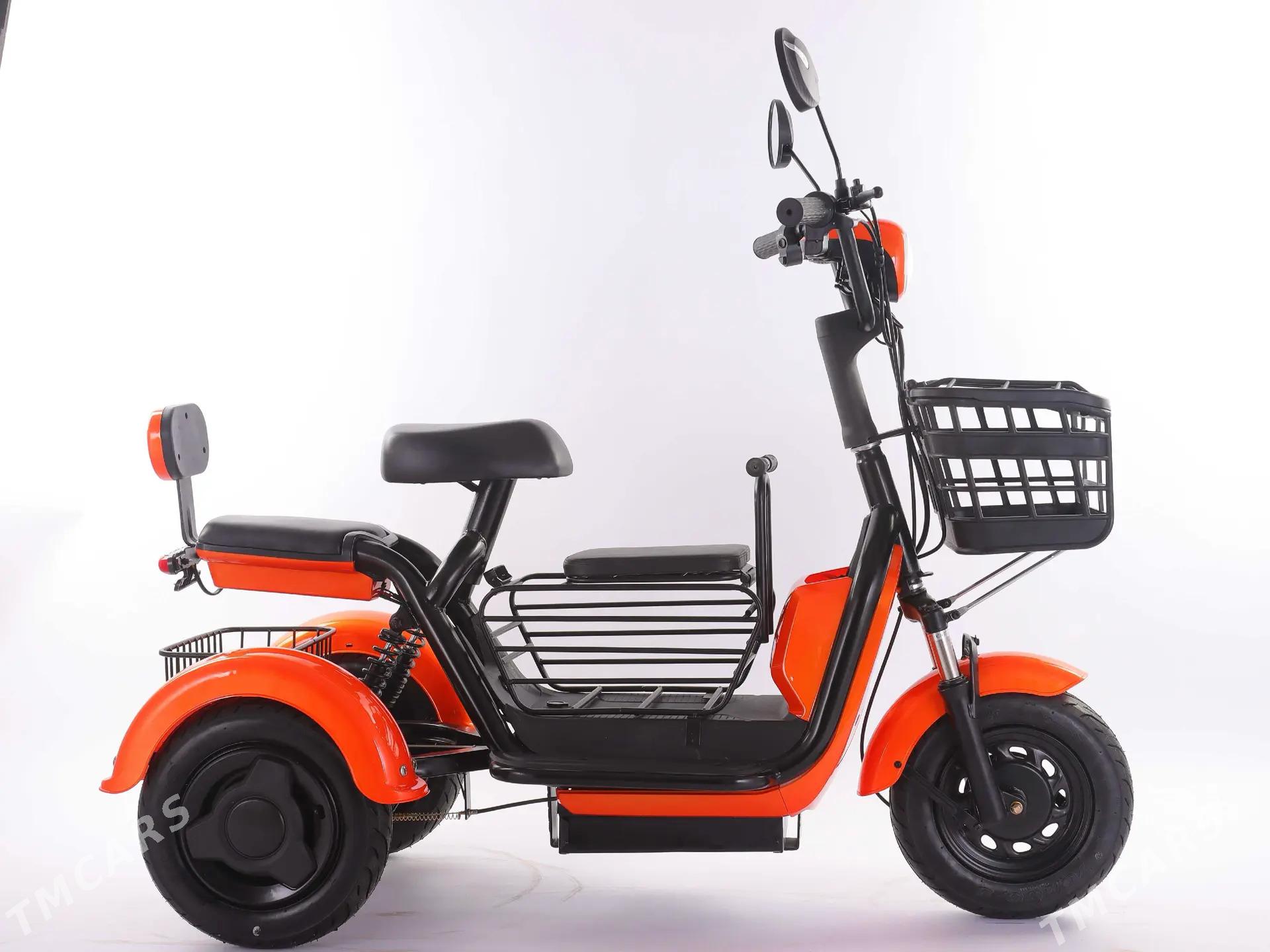 Tokly tigir - Aşgabat - img 1