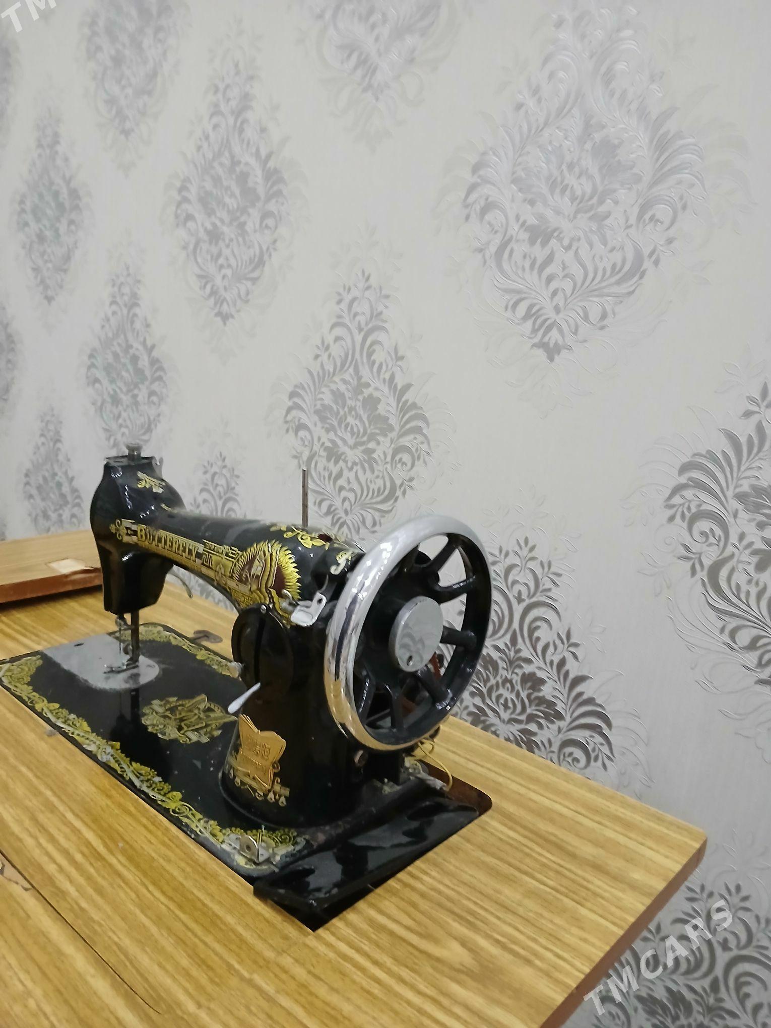 Tikin Masyn - Анев - img 3