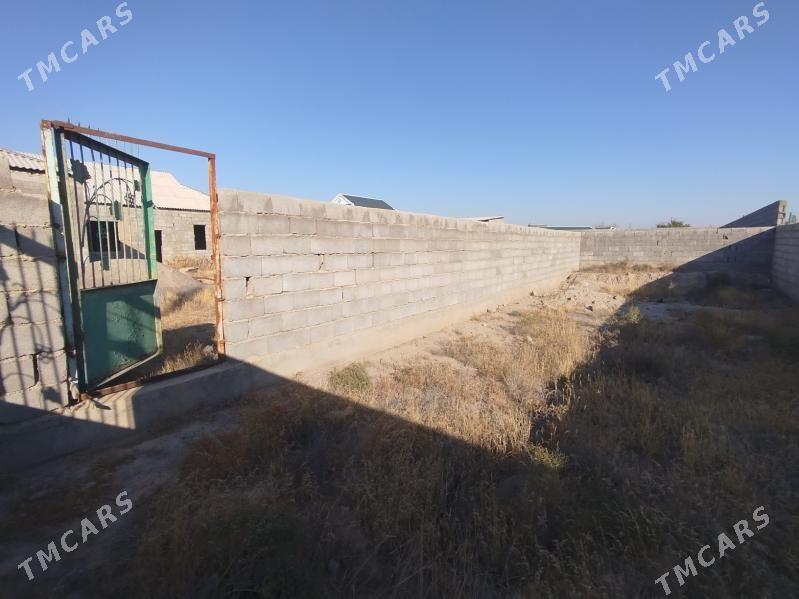 Şatlyk jaý - Кака - img 4