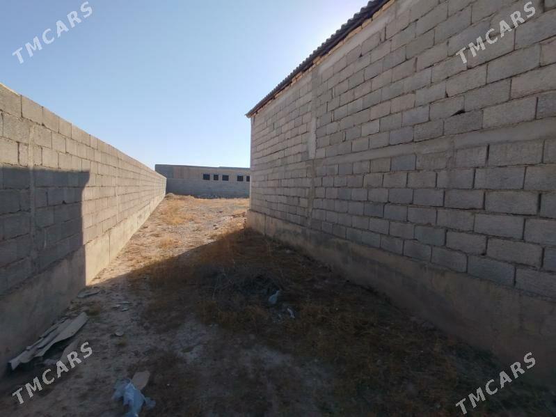 Şatlyk jaý - Кака - img 8