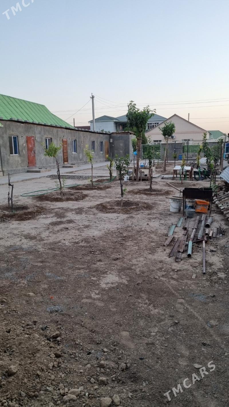 Satlyk jay yer - Багир - img 3