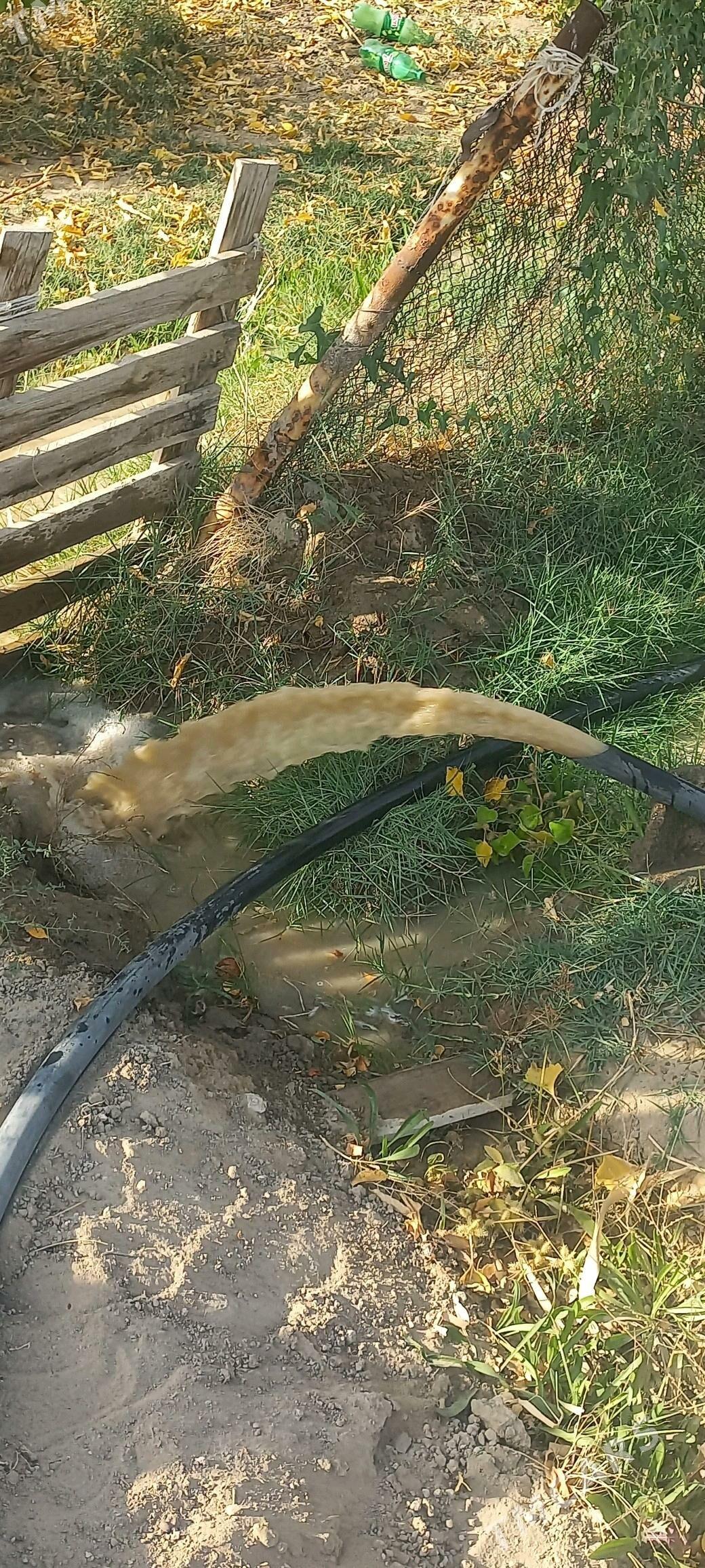 guyy gazyas änew - Анев - img 1