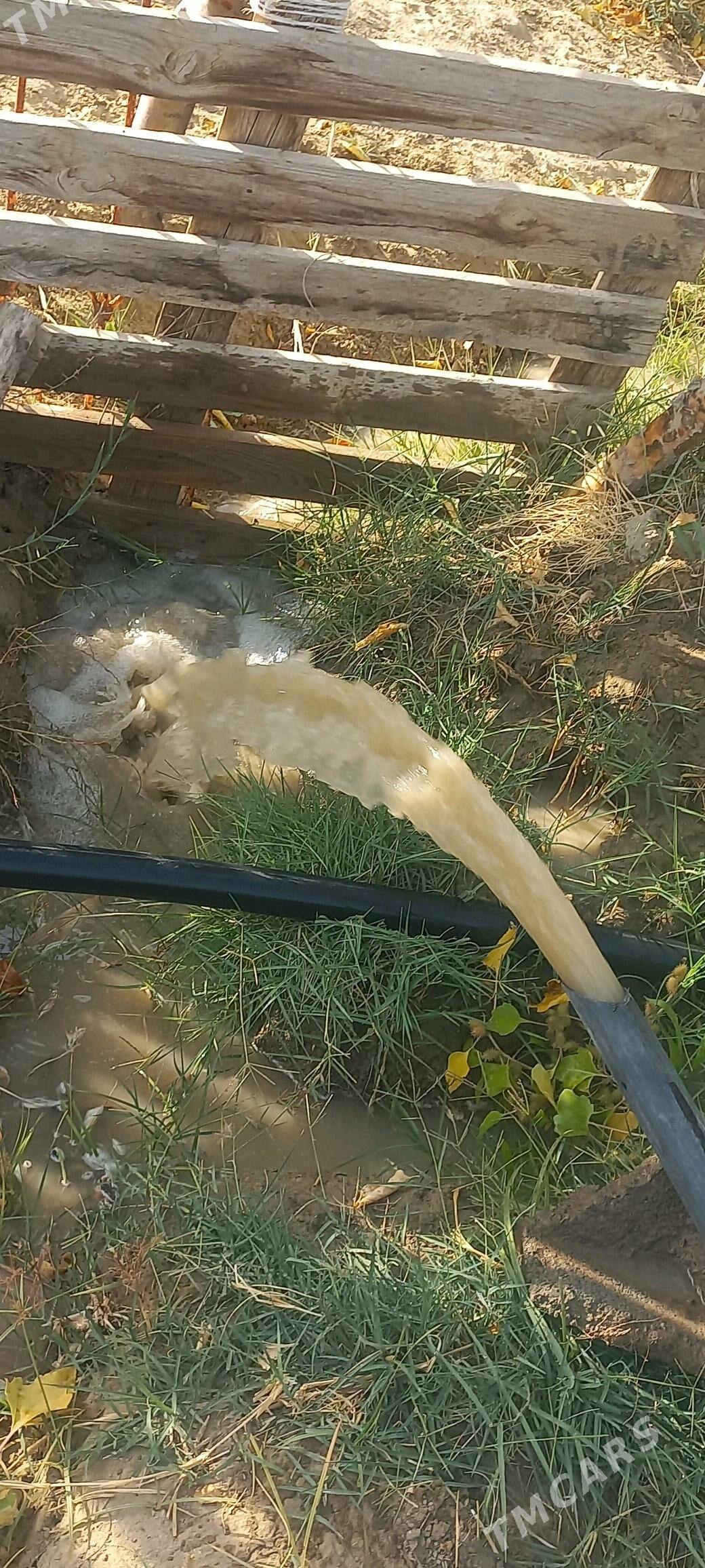 guyy gazyas änew - Анев - img 2