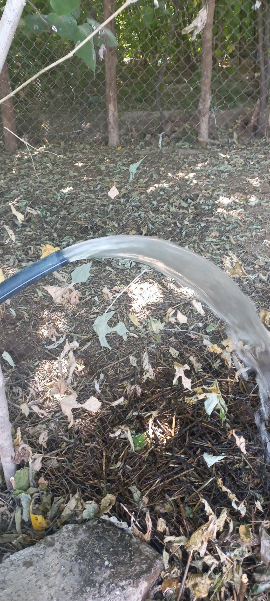 guyy gazyas änew - Анев - img 9