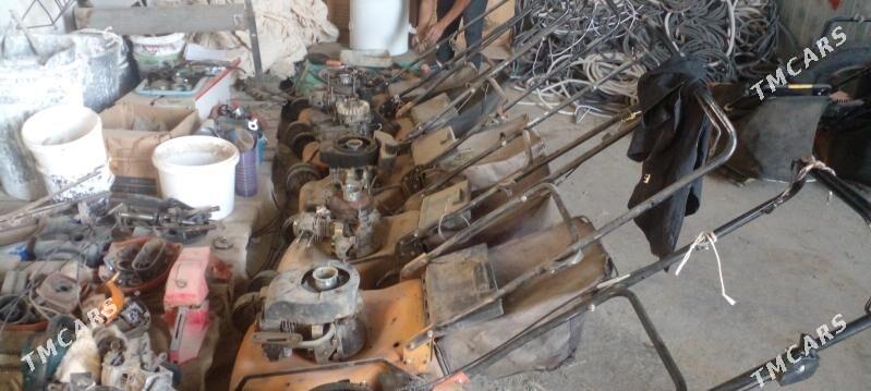 ot orvan enjam - Aşgabat - img 1