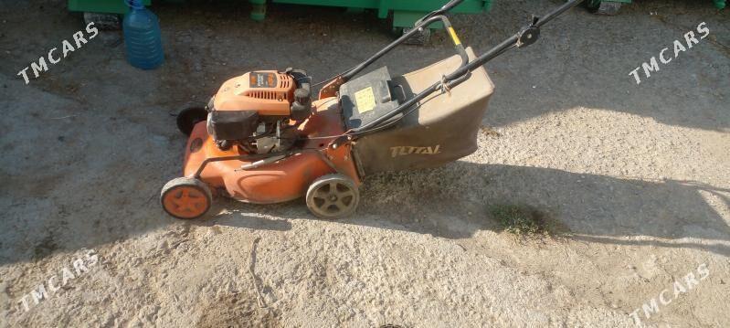 ot orvan enjam - Aşgabat - img 3