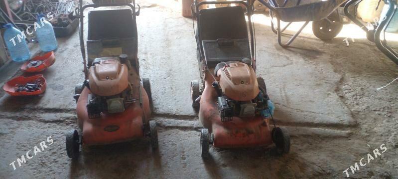 ot orvan enjam - Aşgabat - img 2