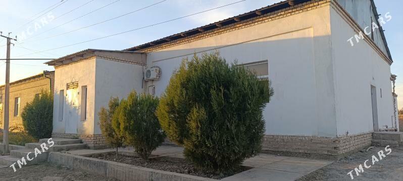 Jay - Дашогуз - img 1