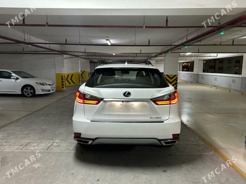 Lexus RX 350 2021 - 706 000 TMT - Aşgabat - img 5
