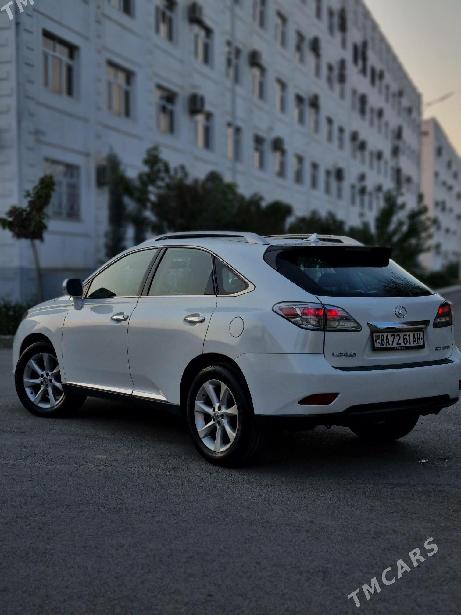 Lexus RX 350 2010 - 329 000 TMT - Ашхабад - img 4