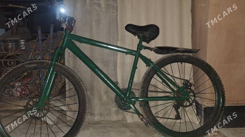 Turkmenistan tigir - Çoganly - img 2