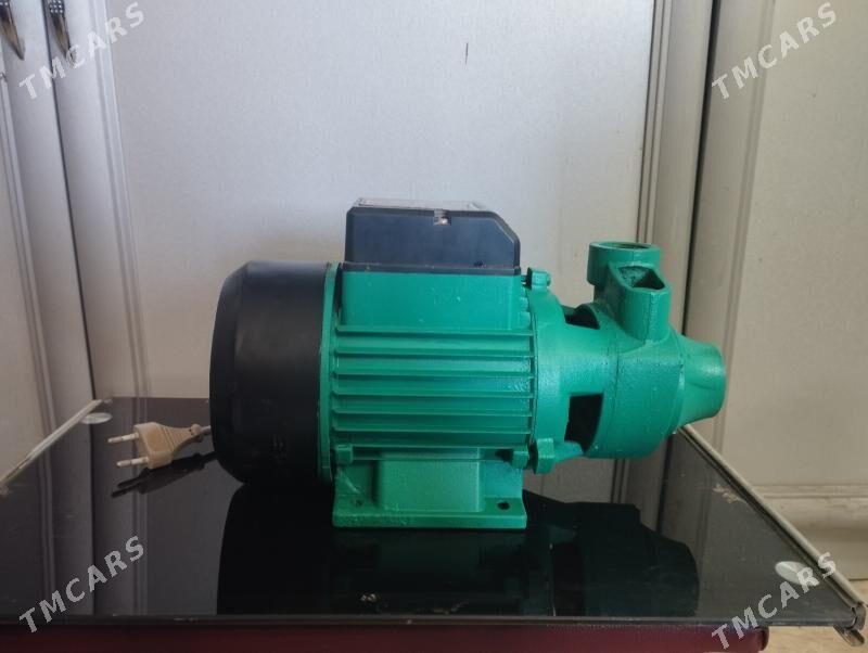 shimge 70lik - Mary - img 3