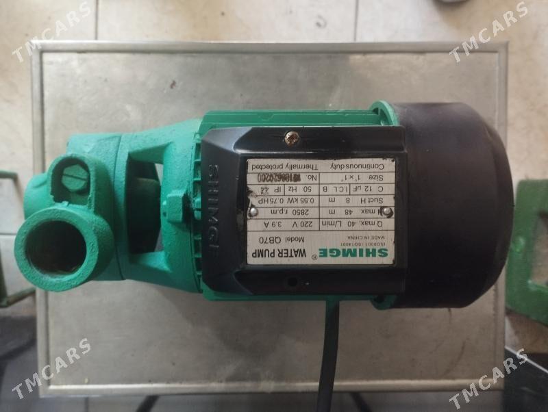 shimge 70lik - Mary - img 1