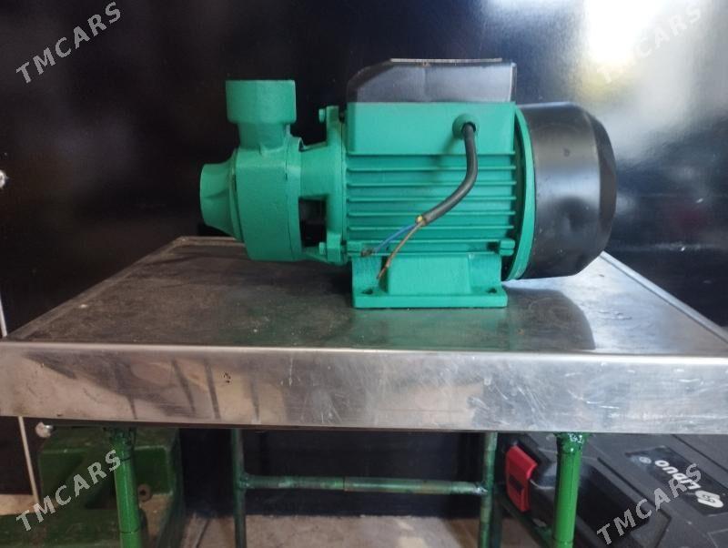 shimge 70lik - Mary - img 2