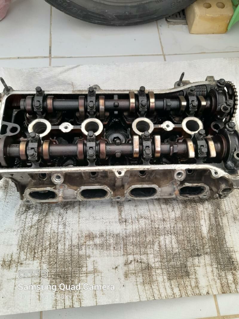 Golowka 2,4 okuz kelle 1 000 TMT - Aşgabat - img 2