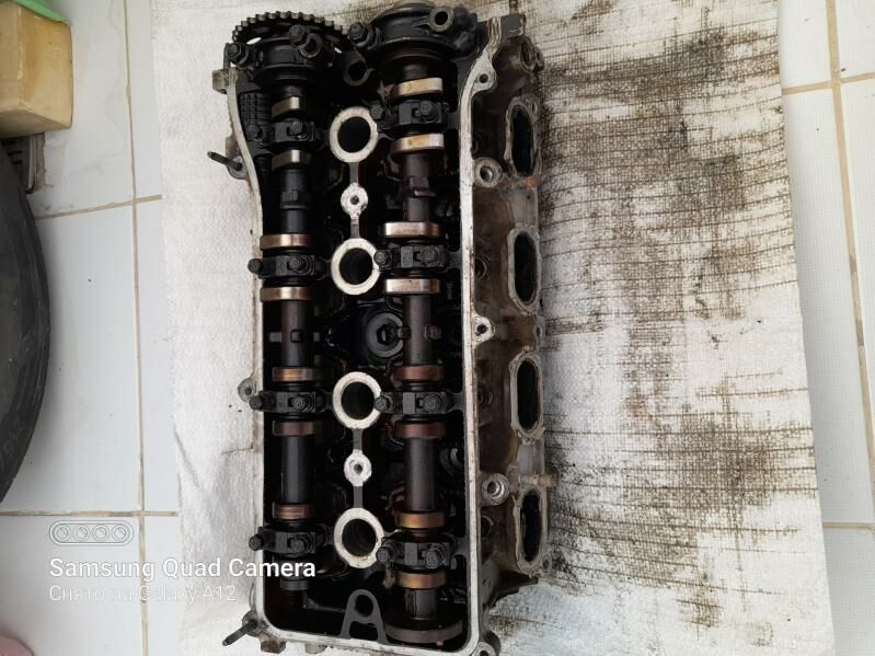 Golowka 2,4 okuz kelle 1 000 TMT - Aşgabat - img 1