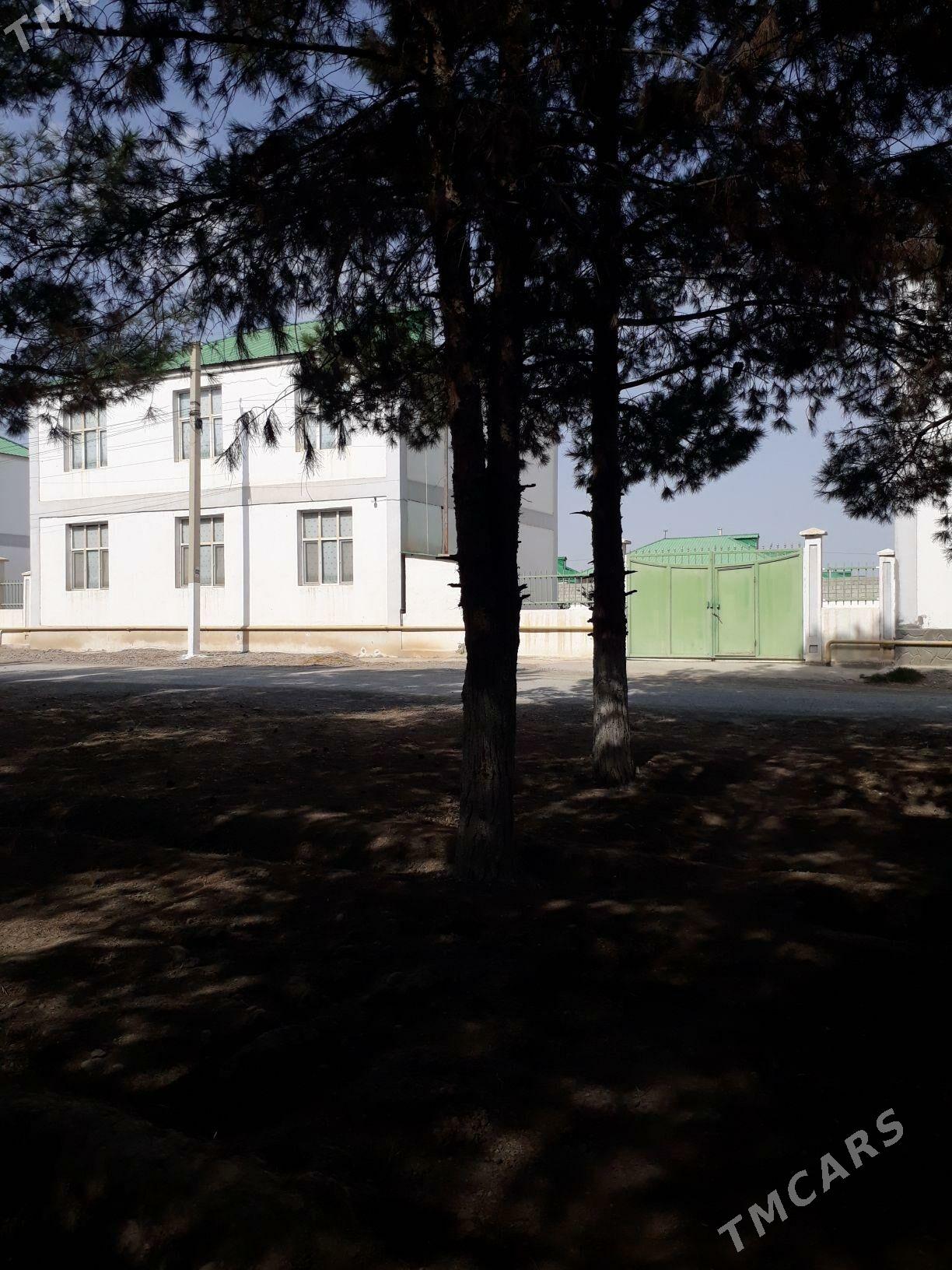 GÖKDEPE SATLYK KATEŽ - Gökdepe - img 2