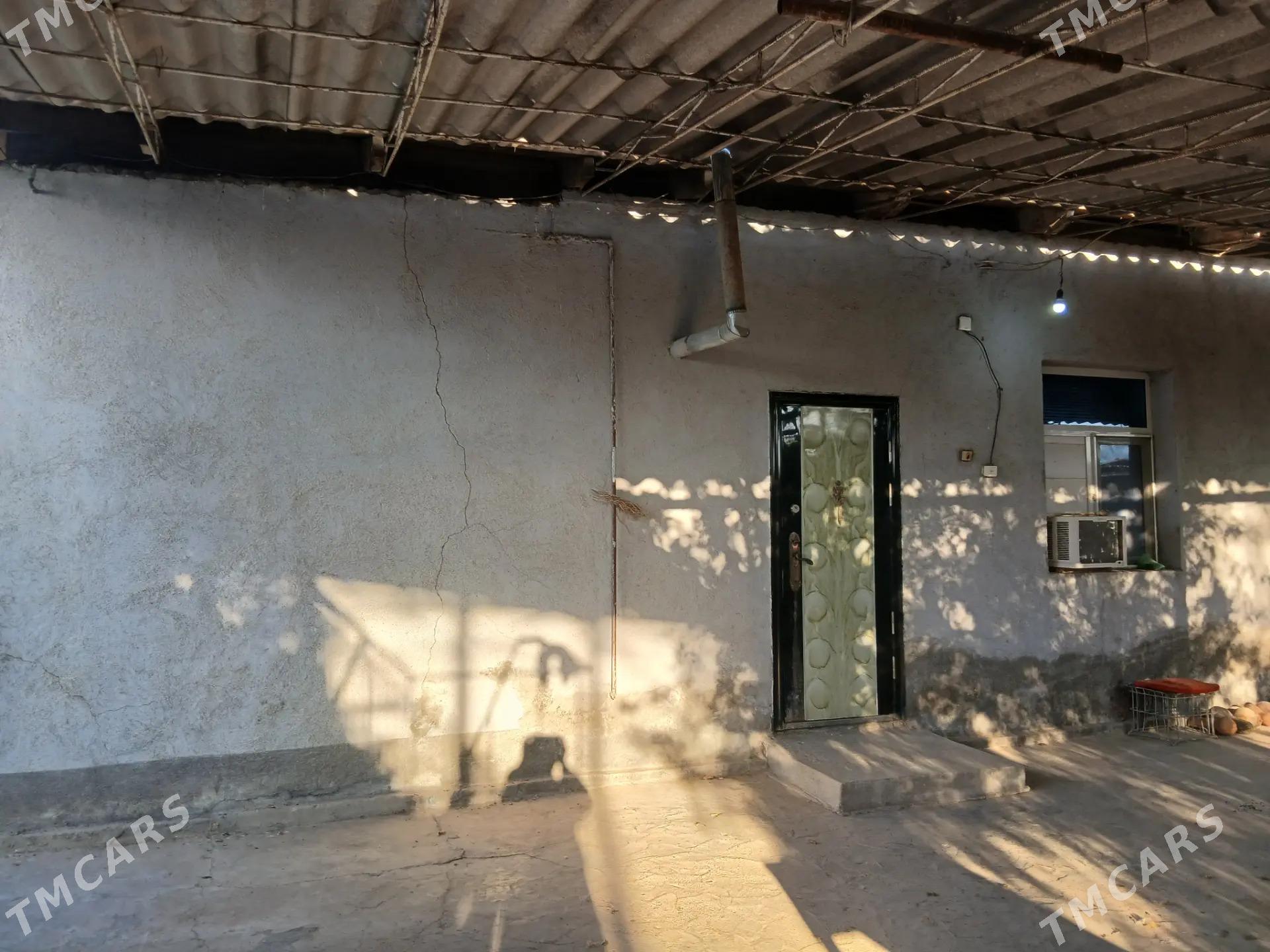 plan jay 8 pmka - Ak bugdaý etraby - img 4