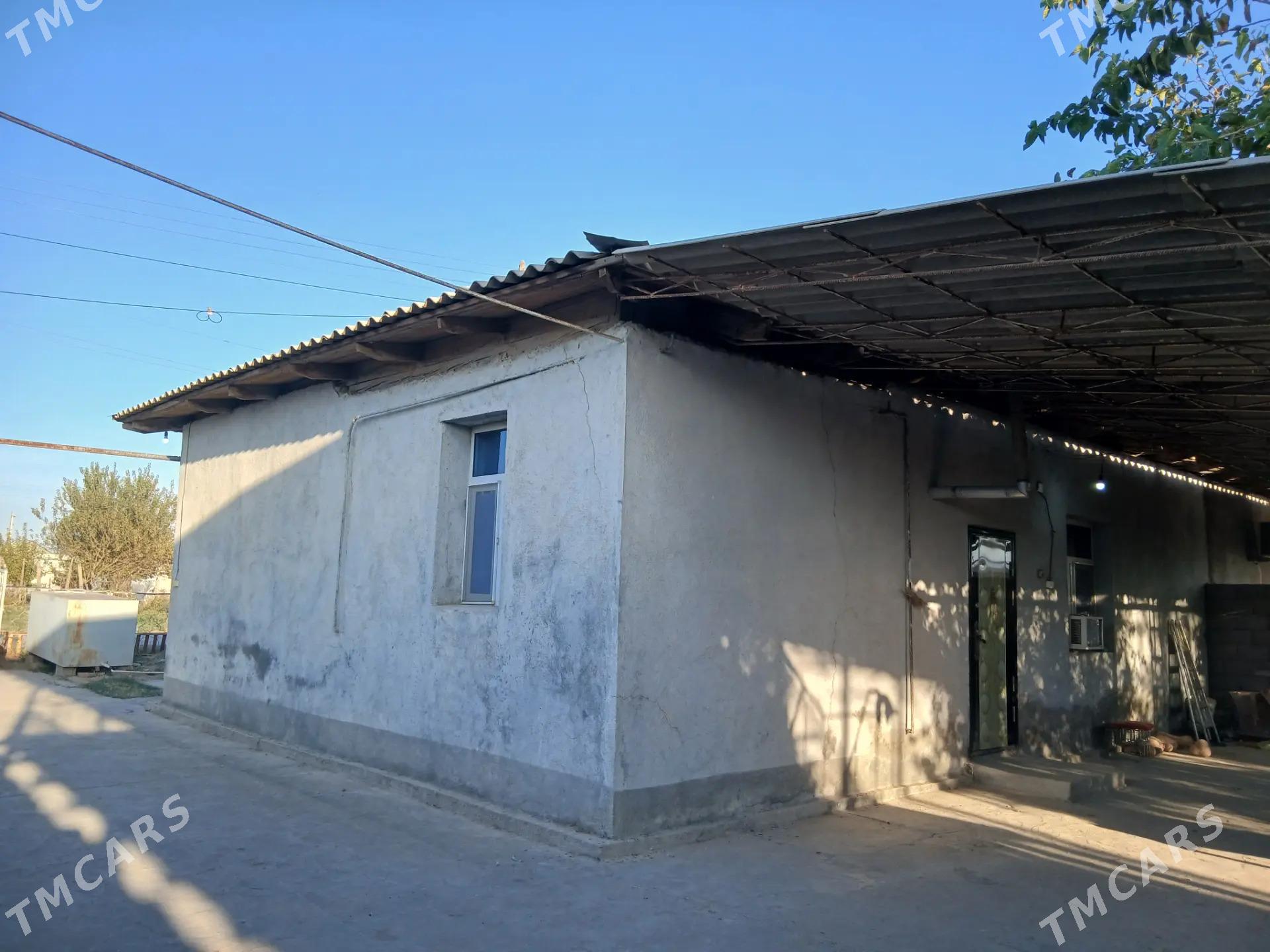 plan jay 8 pmka - Ak bugdaý etraby - img 2