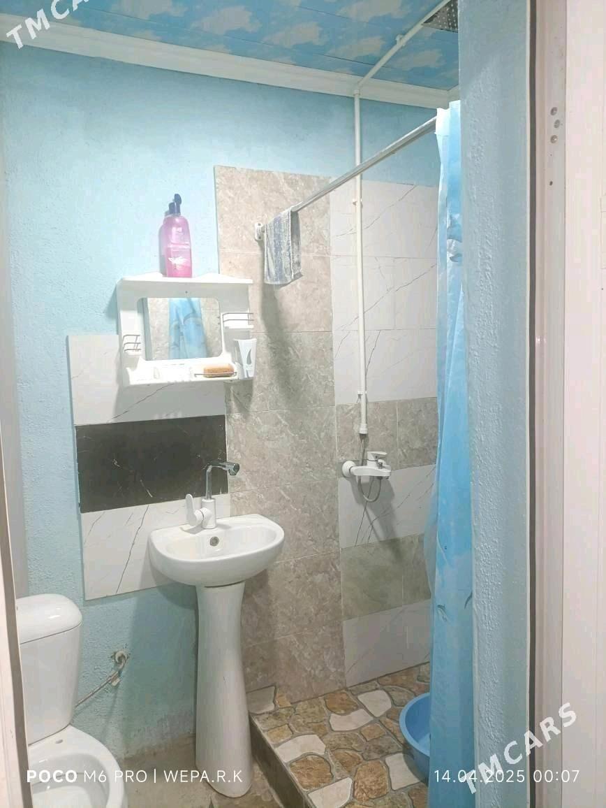 Arenda jay - Mary - img 3