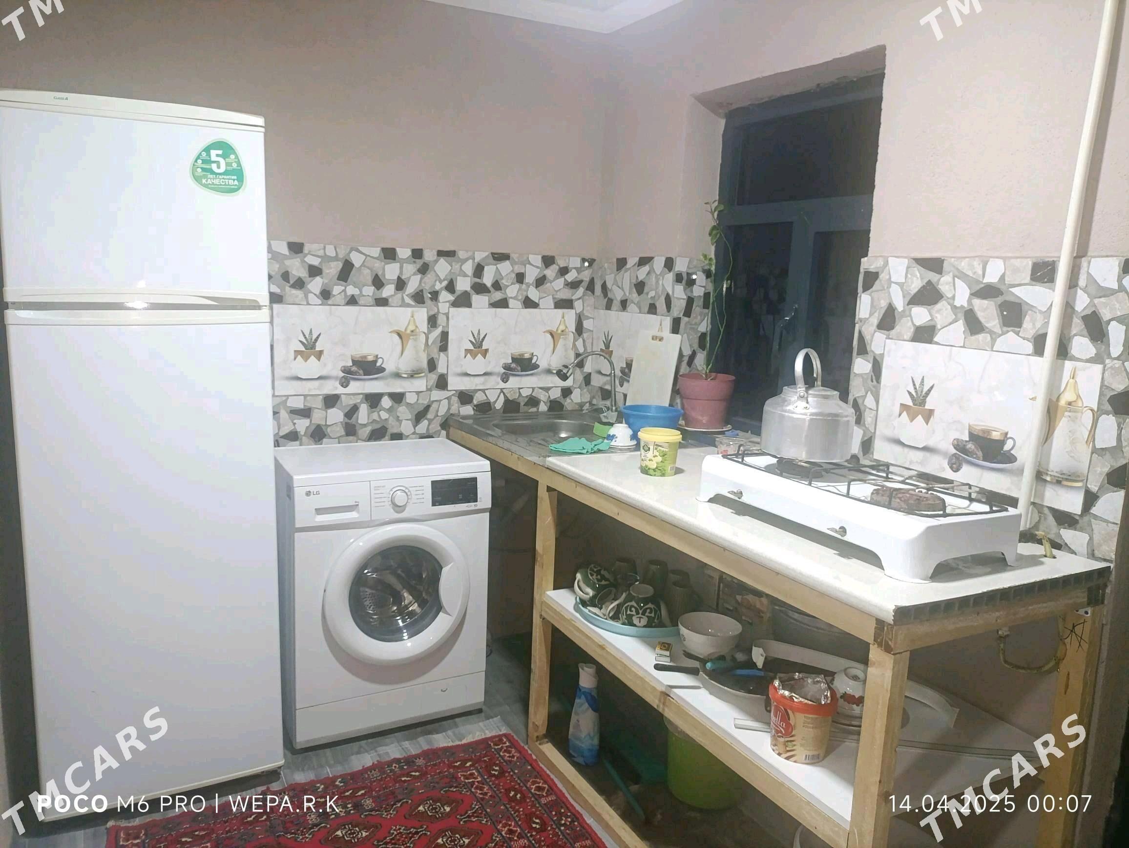 Arenda jay - Mary - img 2