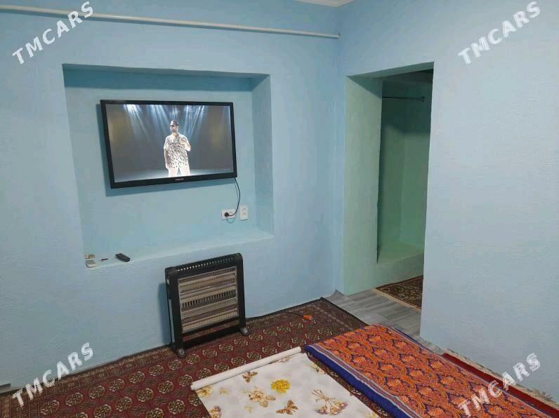 Arenda jay - Mary - img 1