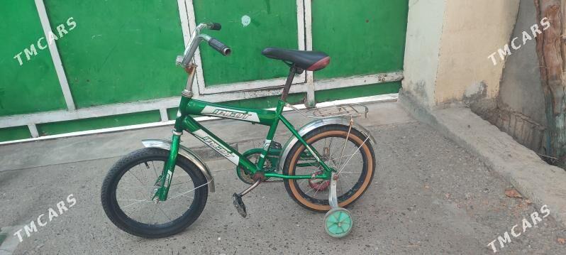 kici caga tigir gyssagly 16lyk - Bedew - img 2