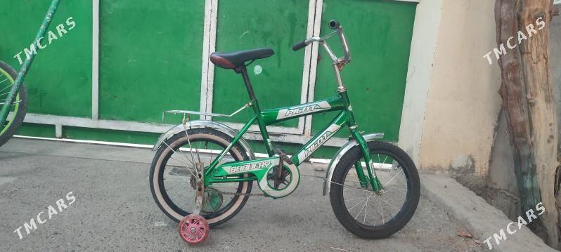 kici caga tigir gyssagly 16lyk - Bedew - img 1