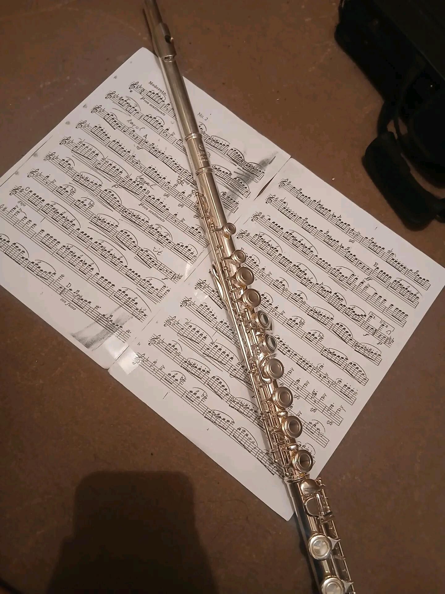 Başlangyç we Fleýta mugallym - Ашхабад - img 2