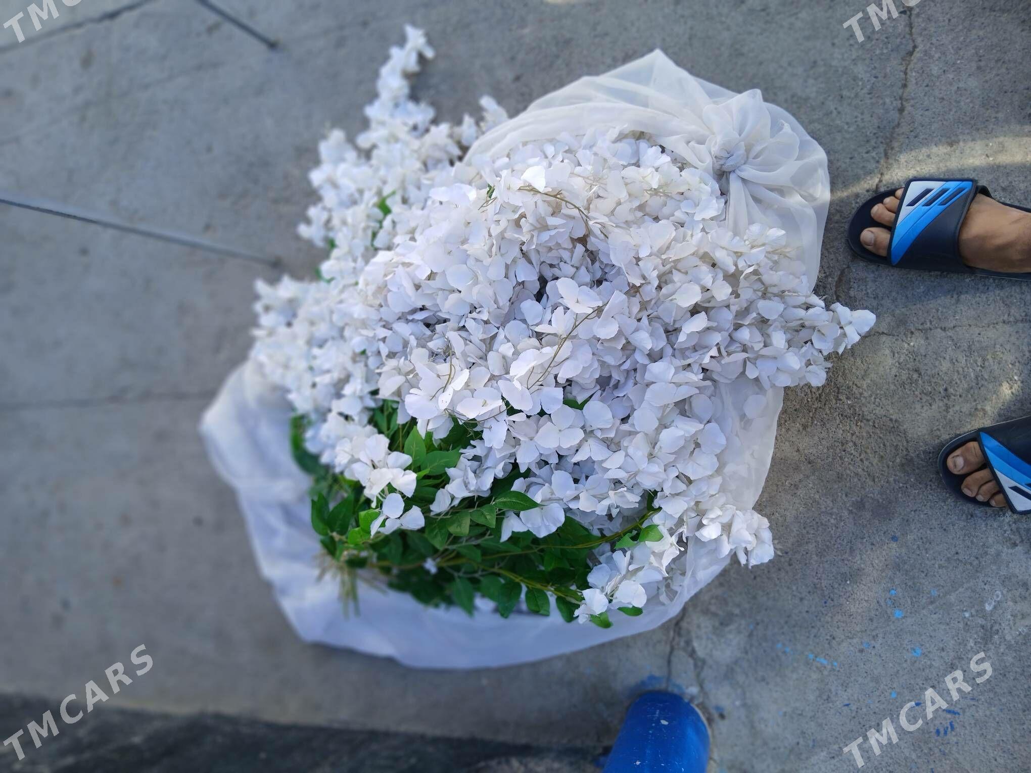 bezeg gul mata - Hitrowka - img 2