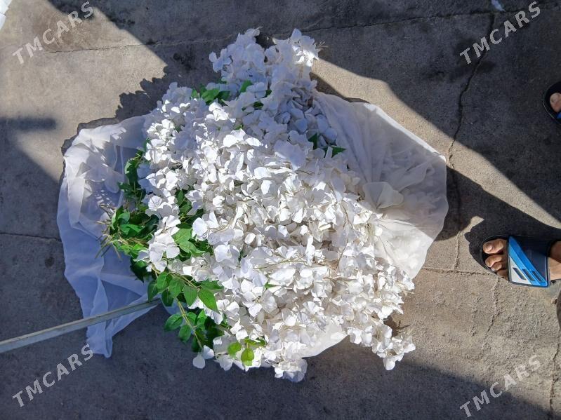 bezeg gul mata - Hitrowka - img 4