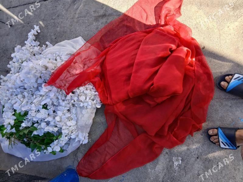 bezeg gul mata - Hitrowka - img 1