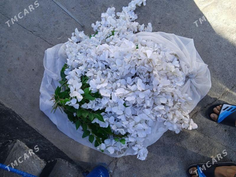 bezeg gul mata - Hitrowka - img 3