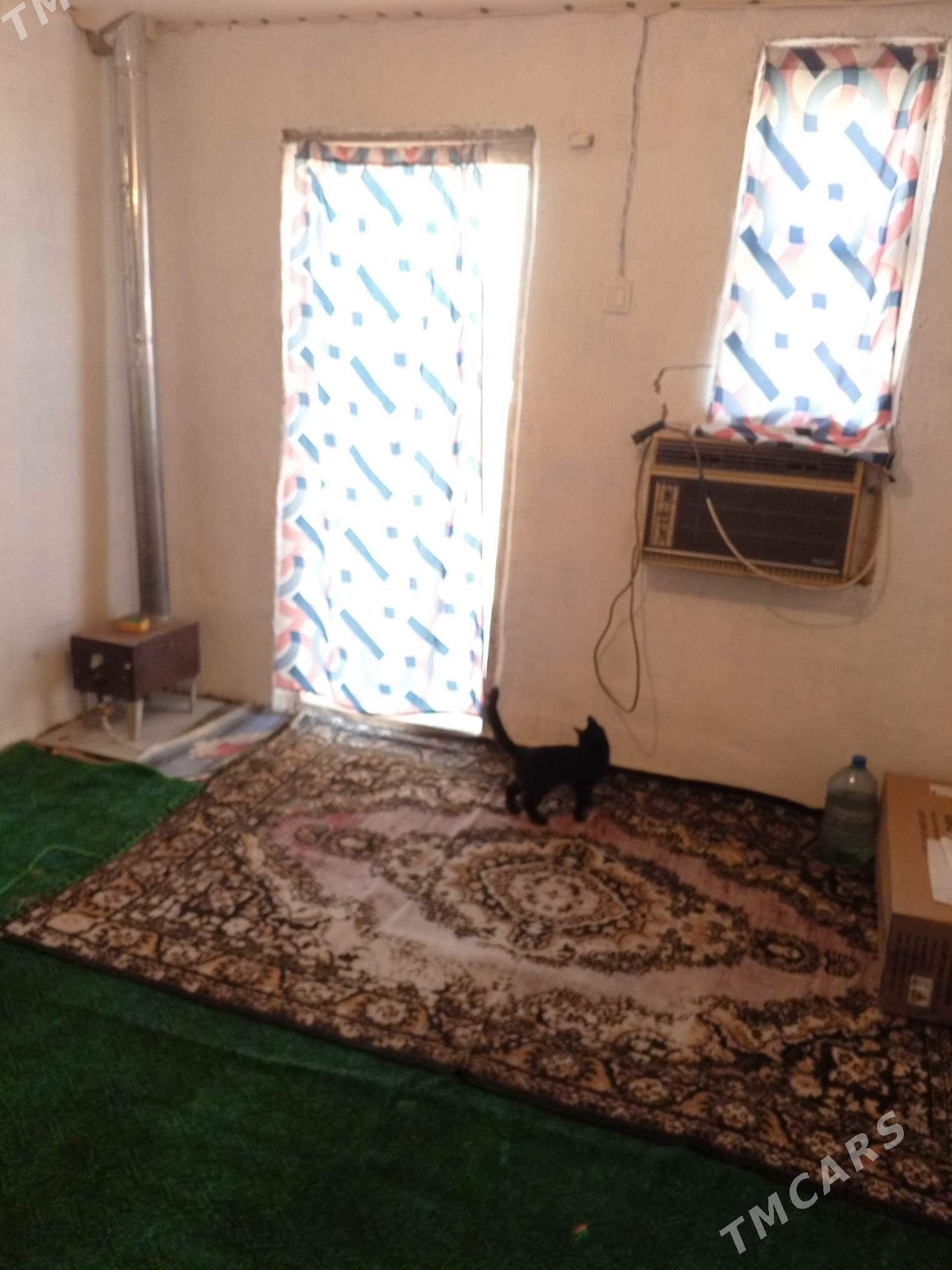 kireyin jay - Çoganly - img 2