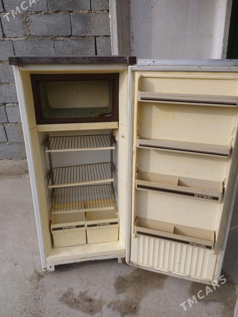 Holodilnik - Ýaşlyk - img 2