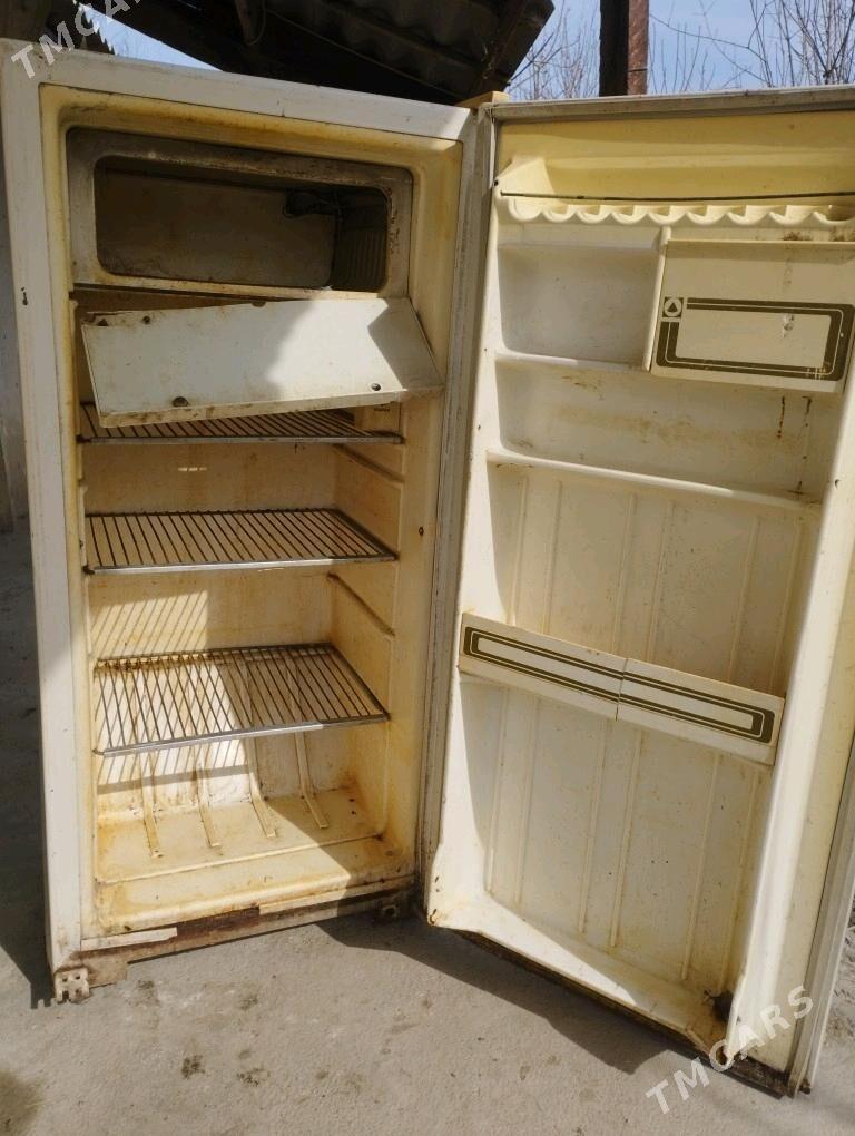 Holodilnik - Ýaşlyk - img 4